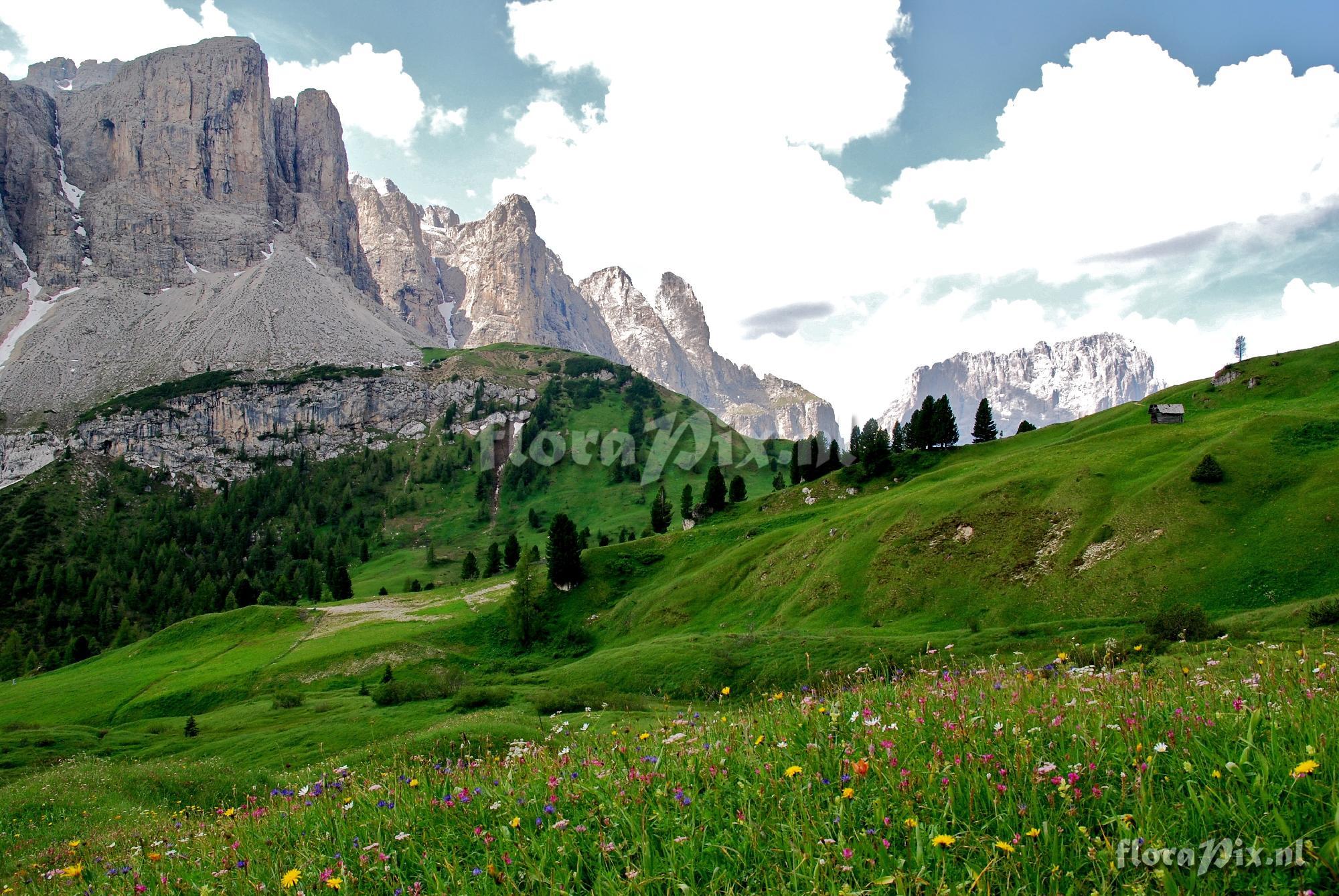 Alpine meadow at Val Gardena