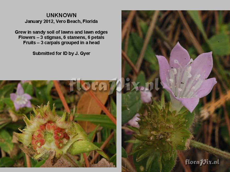 Unknown, ID needed